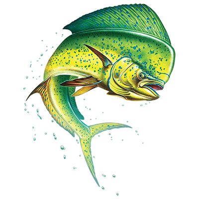 Mahi Mahi Dolphin Fish T-shirt