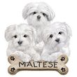 Maltese Puppies T-shirt - Dog Bone Adult Tee Shirt