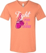 Mens Breast Cancer Shirt Fight For a Cure Tri Blend V-neck Tee T-Shirt
