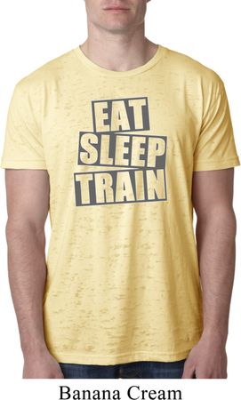 Mens Fitness Shirt Eat Sleep Train Burnout Tee T-Shirt