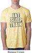 Mens Fitness Shirt Eat Sleep Train Burnout Tee T-Shirt