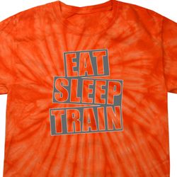 Mens Fitness Shirt Eat Sleep Train Spider Tie Dye Tee T-shirt Mens Fitness Shirt Eat Sleep Train Spider Tie Dye Tee T-shirt
