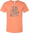 Mens Fitness Shirt Eat Sleep Train Tri Blend V-neck Tee