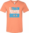 Mens Fitness Shirt I Train For Beer Tri Blend V-neck Tee