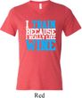 Mens Fitness Shirt I Train For Wine Tri Blend V-neck Tee T-Shirt