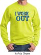 Mens Fitness Sweatshirt I Work Out Sweat Shirt