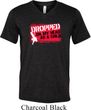 Mens Funny Shirt Dropped On My Head Tri Blend V-neck Tee T-Shirt