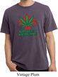 Mens Funny Shirt Natures Medicine Pigment Dyed Tee T-Shirt