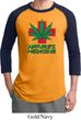 Mens Funny Shirt Natures Medicine Raglan Tee T-Shirt