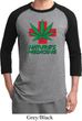 Mens Funny Shirt Natures Medicine Raglan Tee T-Shirt
