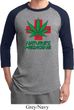 Mens Funny Shirt Natures Medicine Raglan Tee T-Shirt