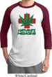 Mens Funny Shirt Natures Medicine Raglan Tee T-Shirt