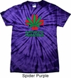 Mens Funny Shirt Natures Medicine Spider Tie Dye Tee T-shirt
