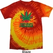 Mens Funny Shirt Natures Medicine Tie Dye Tee T-shirt
