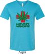 Mens Funny Shirt Natures Medicine Tri Blend V-neck Tee T-Shirt