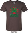Mens Funny Shirt Natures Medicine Tri Blend V-neck Tee T-Shirt