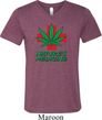 Mens Funny Shirt Natures Medicine Tri Blend V-neck Tee T-Shirt