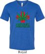 Mens Funny Shirt Natures Medicine Tri Blend V-neck Tee T-Shirt