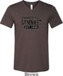 Mens Gymnastics Shirt Competitive Gymnast Tri Blend V-neck Tee T-Shirt