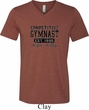 Mens Gymnastics Shirt Competitive Gymnast Tri Blend V-neck Tee T-Shirt