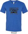 Mens Gymnastics Shirt Competitive Gymnast Tri Blend V-neck Tee T-Shirt