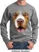 Mens Pit Bull Sweatshirt Big Pit Bull Face Sweat Shirt