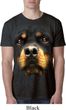 Mens Rottweiler Shirt Big Rottweiler Face Burnout T-Shirt
