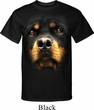 Mens Rottweiler Shirt Big Rottweiler Face Tall Tee T-Shirt