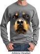 Mens Rottweiler Sweatshirt Big Rottweiler Face Sweat Shirt