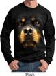 Mens Rottweiler Sweatshirt Big Rottweiler Face Sweat Shirt