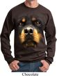 Mens Rottweiler Sweatshirt Big Rottweiler Face Sweat Shirt