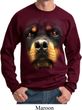 Mens Rottweiler Sweatshirt Big Rottweiler Face Sweat Shirt