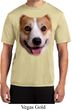 Mens Shirt Big Corgi Face Moisture Wicking Tee T-Shirt