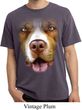 Mens Shirt Big Pit Bull Face Pigment Dyed Tee T-Shirt