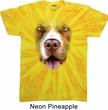 Mens Shirt Big Pit Bull Face Twist Tie Dye Tee T-shirt