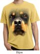 Mens Shirt Big Rottweiler Face Pigment Dyed Tee T-Shirt