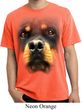 Mens Shirt Big Rottweiler Face Pigment Dyed Tee T-Shirt