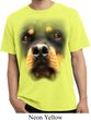 Mens Shirt Big Rottweiler Face Pigment Dyed Tee T-Shirt