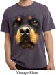 Mens Shirt Big Rottweiler Face Pigment Dyed Tee T-Shirt