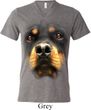 Mens Shirt Big Rottweiler Face Tri Blend V-neck Tee T-Shirt