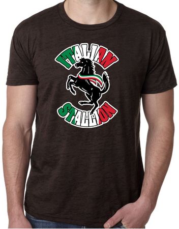 Mens Shirt Italian Stallion Burnout Tee T-Shirt
