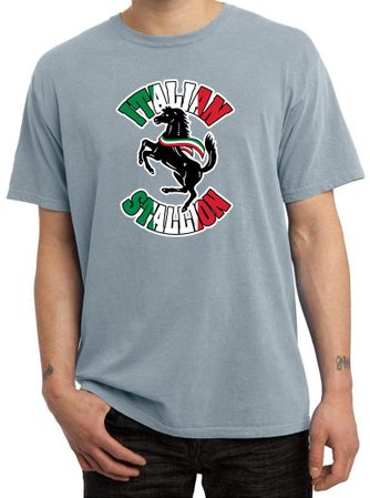 Mens Shirt Italian Stallion Pigment Dyed Tee T-Shirt