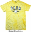Mens Shirt Papa Spider Tie Dye Tee T-shirt