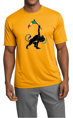 Mens Shirt Rasta Triangle Moisture Wicking Tee T-Shirt