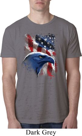 Mens USA Tee American Icon Burnout T-shirt