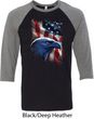 Mens USA Tee American Icon Raglan Shirt