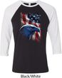 Mens USA Tee American Icon Raglan Shirt