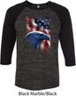 Mens USA Tee American Icon Raglan Shirt