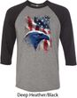 Mens USA Tee American Icon Raglan Shirt