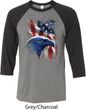 Mens USA Tee American Icon Raglan Shirt
